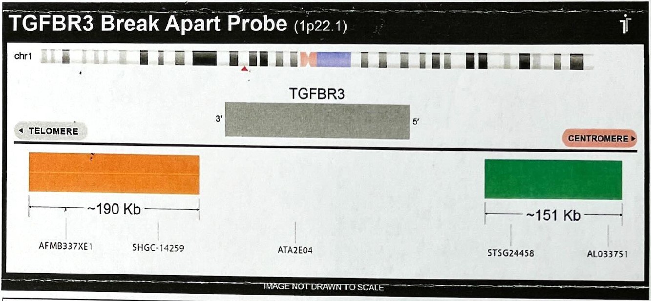 TGFBR3 break apart probe